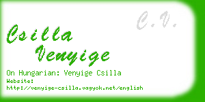 csilla venyige business card